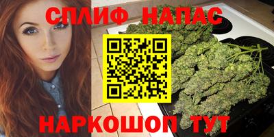 мяу мяу мука Аргун