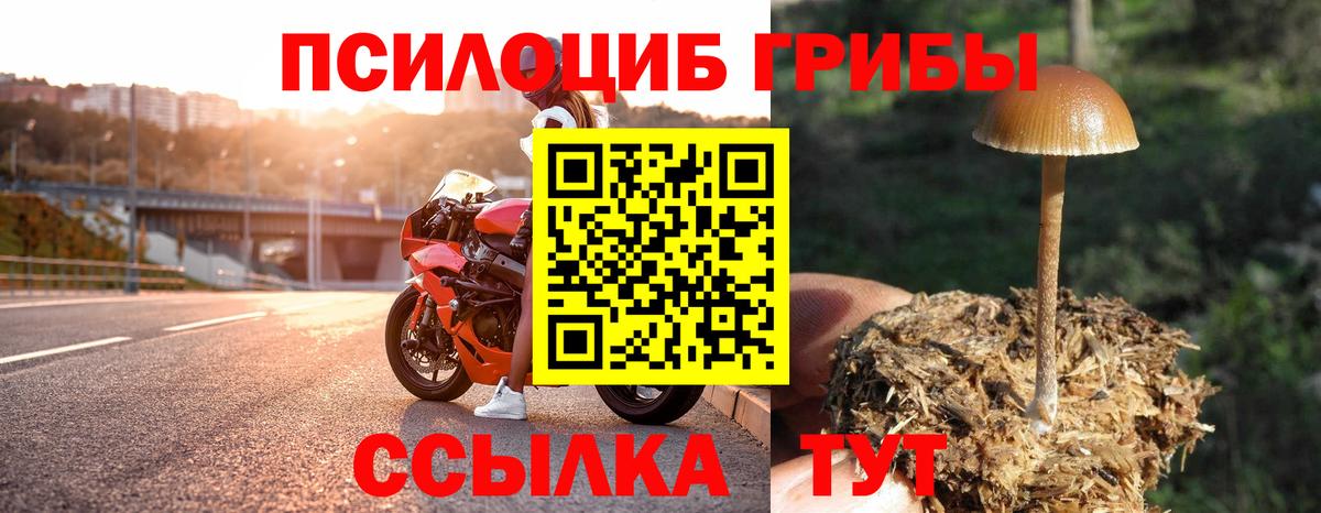 Воскресенск  Псилоцибиновые грибы Psilocybe  Вход с VPN  Псилоцибиновые грибы мухоморы 