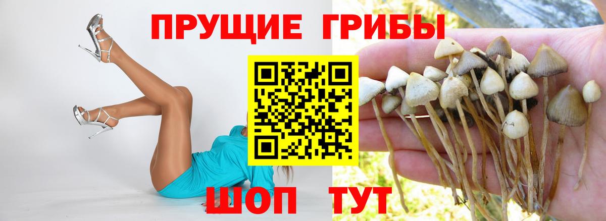 Галлюциногенные грибы ЛСД Воскресенск